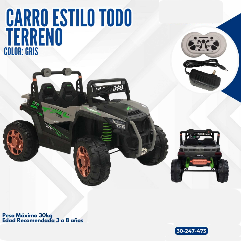 CARRO ESTILO TODOTERRENO