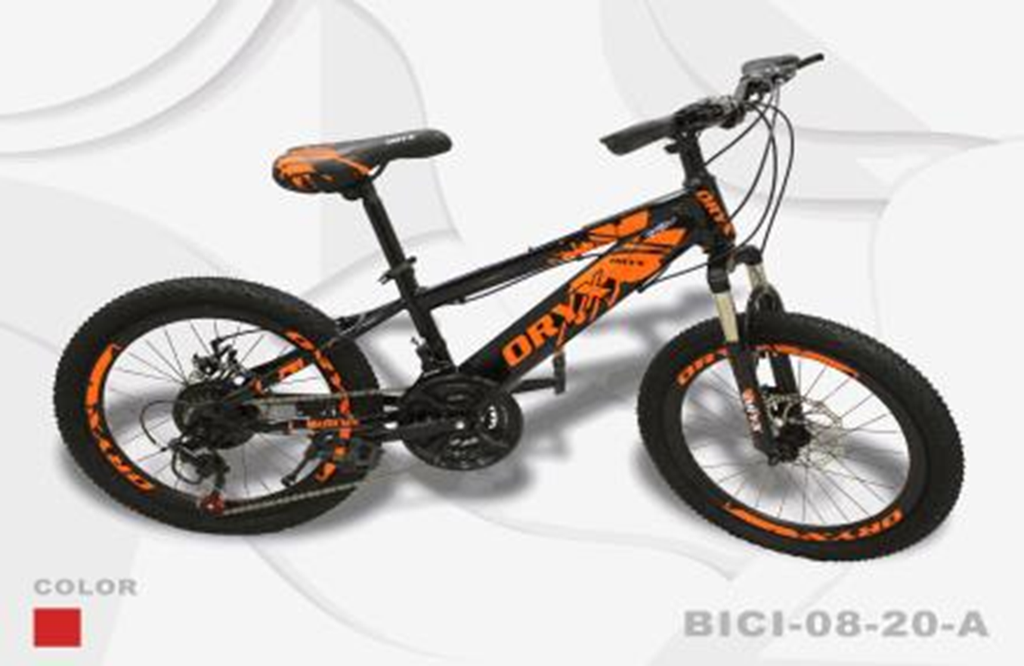 BICICLETA 20 ROJO
