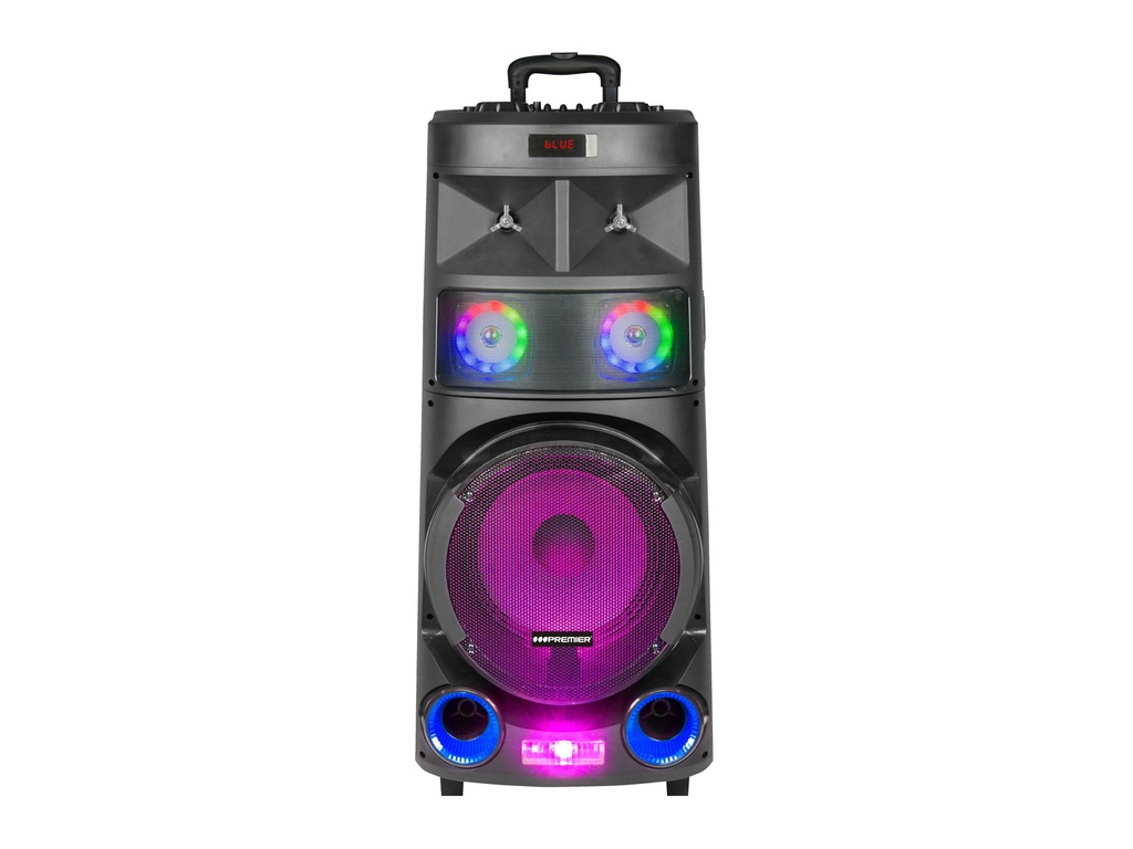 BOCINA 12” REC/FM/USB/TF/BT/AUX/ MIC/TWS C/RUEDAS