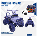 CARRO MOTO SAFARI MORADO